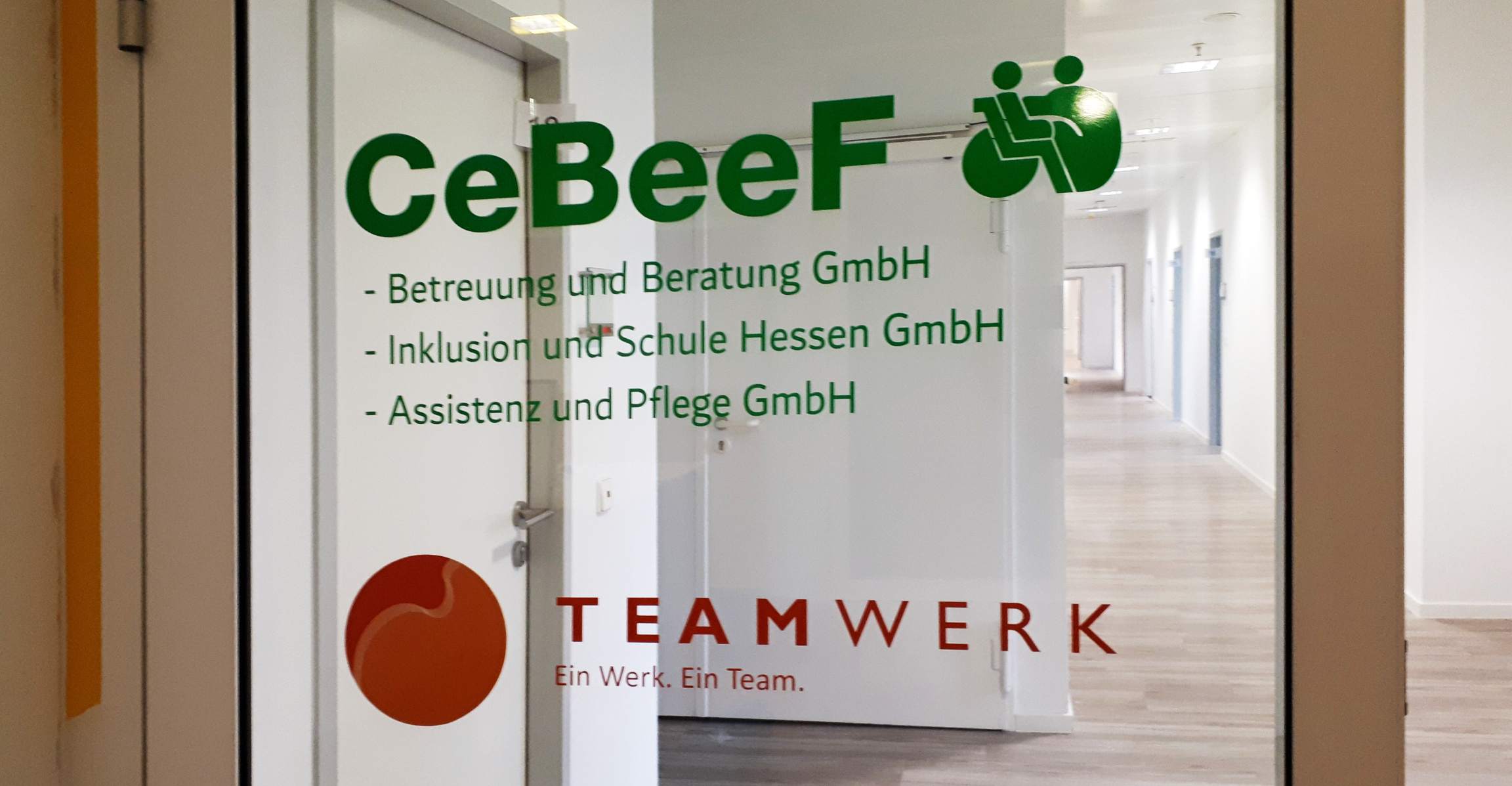 cebeef2.jpg