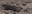 ancienttimemachine.jpg