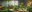 variousplants.jpg